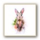Baby Rabbit Baby Rabbit