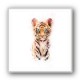 Baby Tiger Baby Tiger