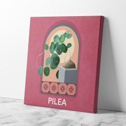 Green Sets Pilea