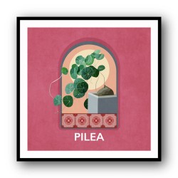 Green Sets Pilea