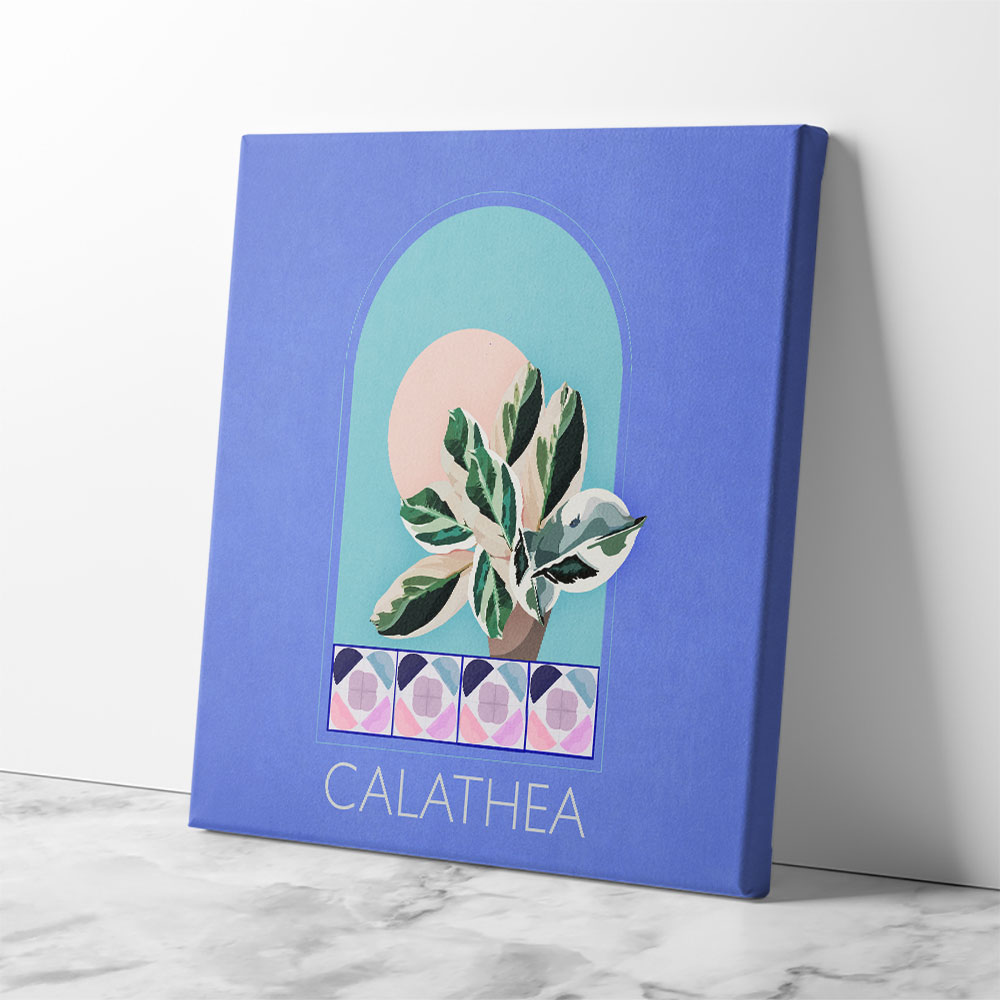 Green Sets Calathea