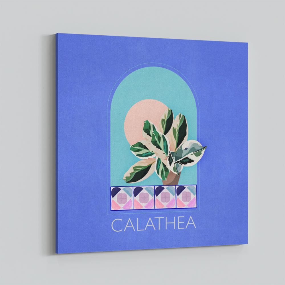 Green Sets Calathea