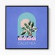 Green Sets Calathea