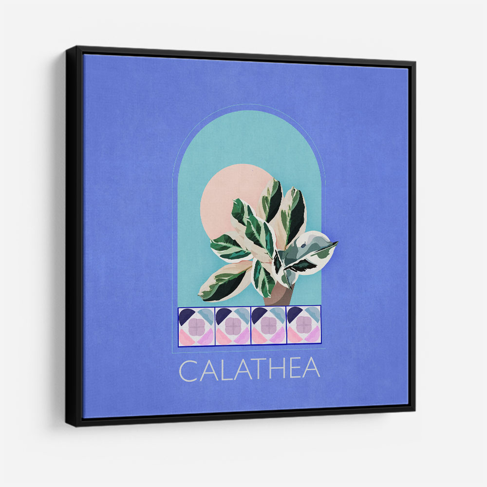 Green Sets Calathea