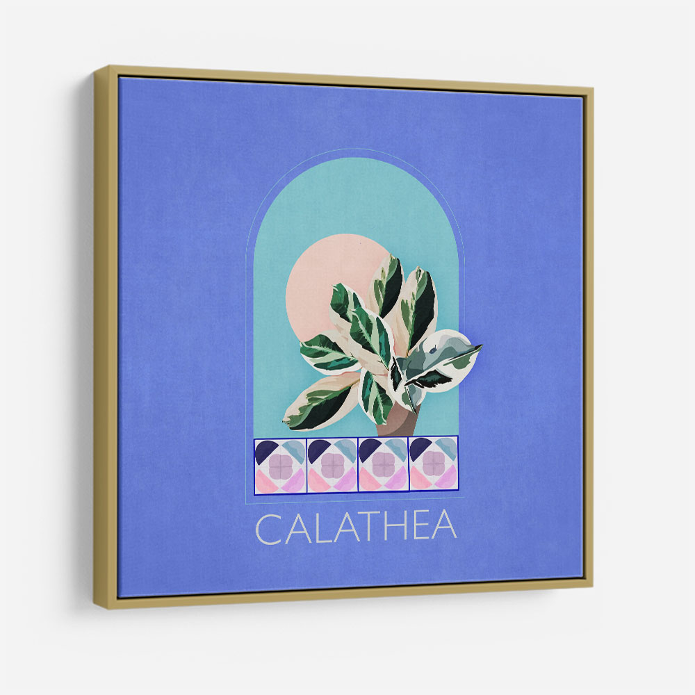 Green Sets Calathea