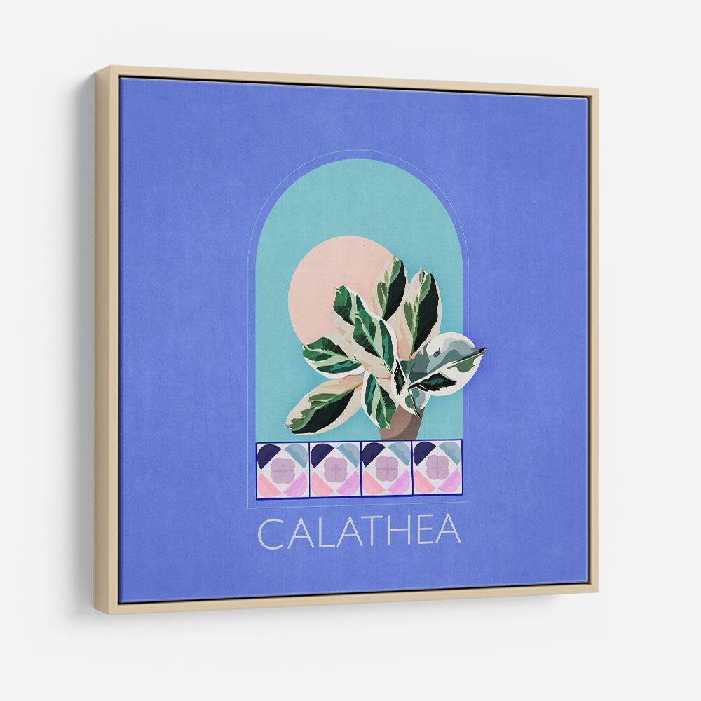 Green Sets Calathea