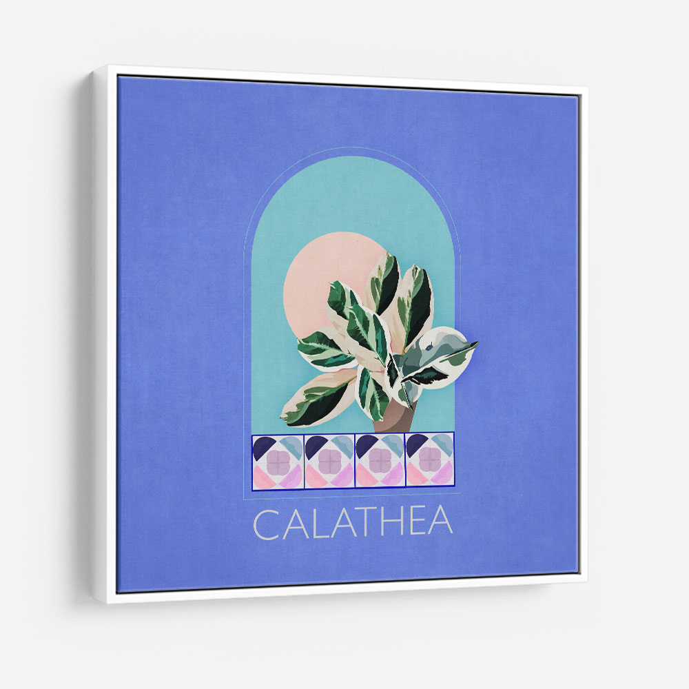 Green Sets Calathea