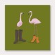 Fashion Flamingos