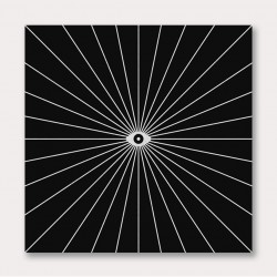 Big Brother Inverted
