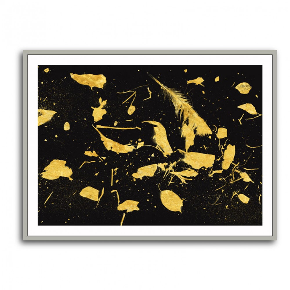 Gold Dust Gold Dust