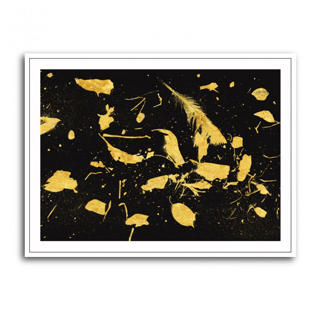 Gold Dust Gold Dust