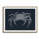 Crab Blue Poster Blue