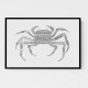 Crab Grey Poster Grey