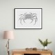 Crab Grey Poster Grey