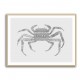 Crab Grey Poster Grey