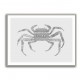 Crab Grey Poster Grey