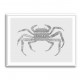 Crab Grey Poster Grey