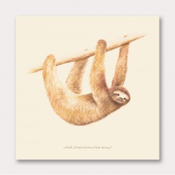 Css Animals Sloth