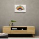 Rainbow Classics Rainbow Classics