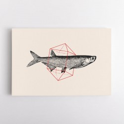 Fish In Geometrics NAo2