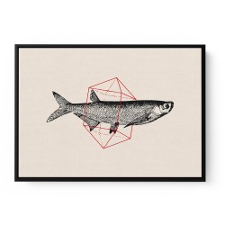 Fish In Geometrics NAo2
