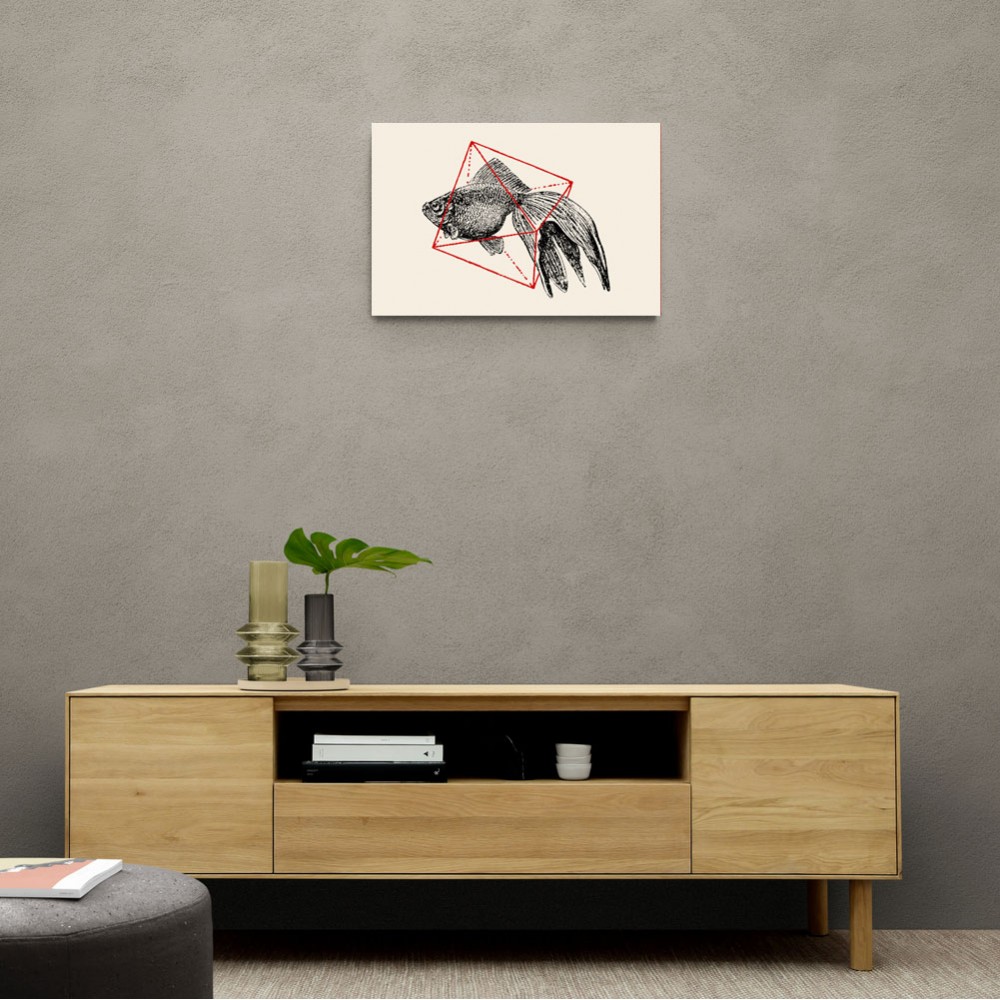 Fish In Geometrics NAo3 Fish In Geometrics NAo3