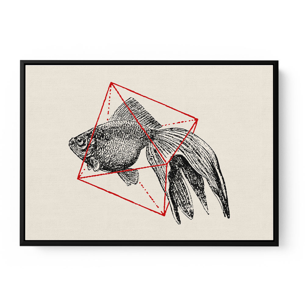 Fish In Geometrics NAo3 Fish In Geometrics NAo3