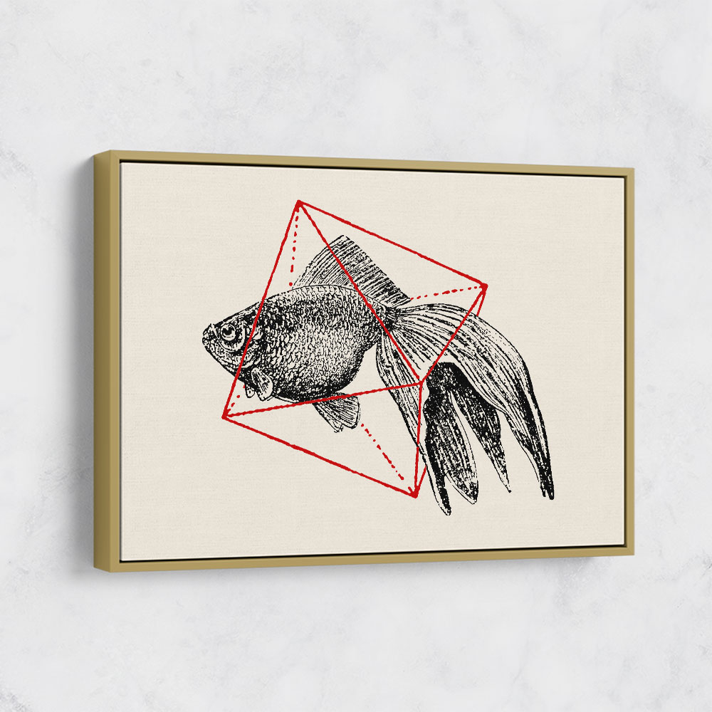 Fish In Geometrics NAo3