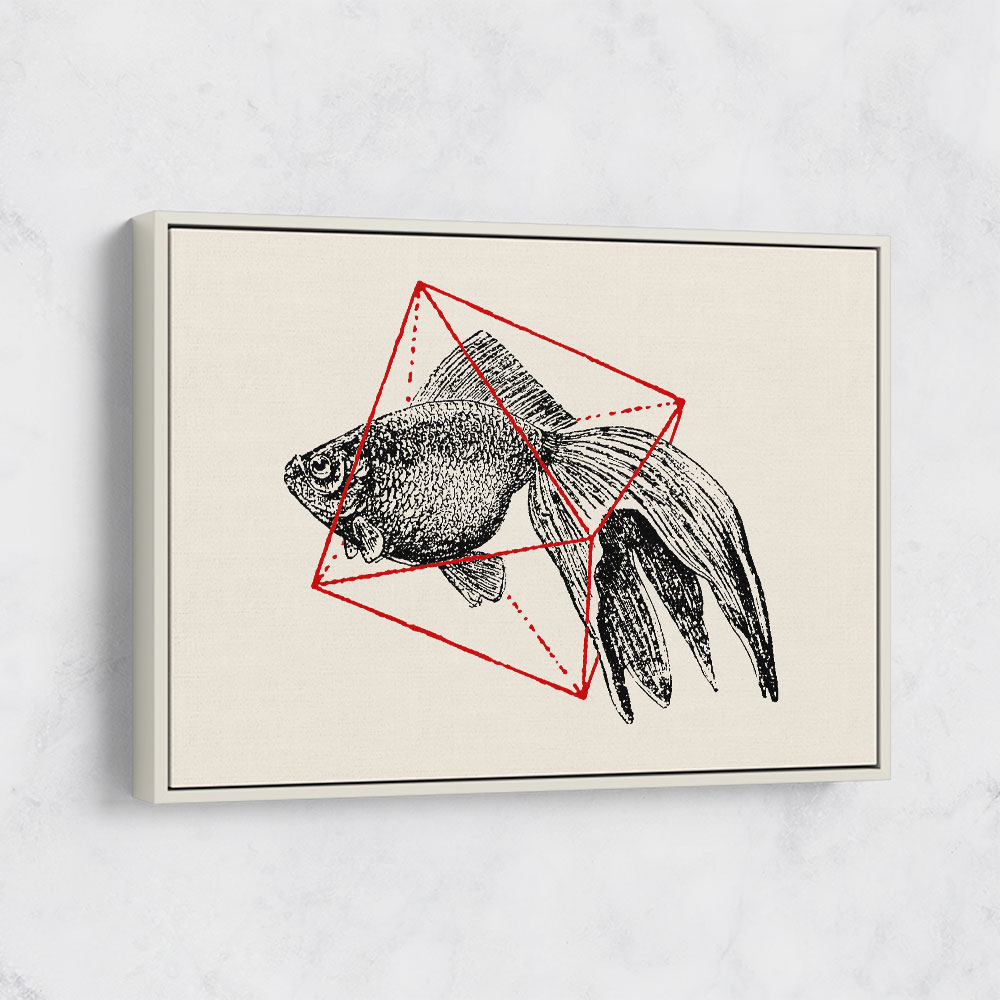 Fish In Geometrics NAo3