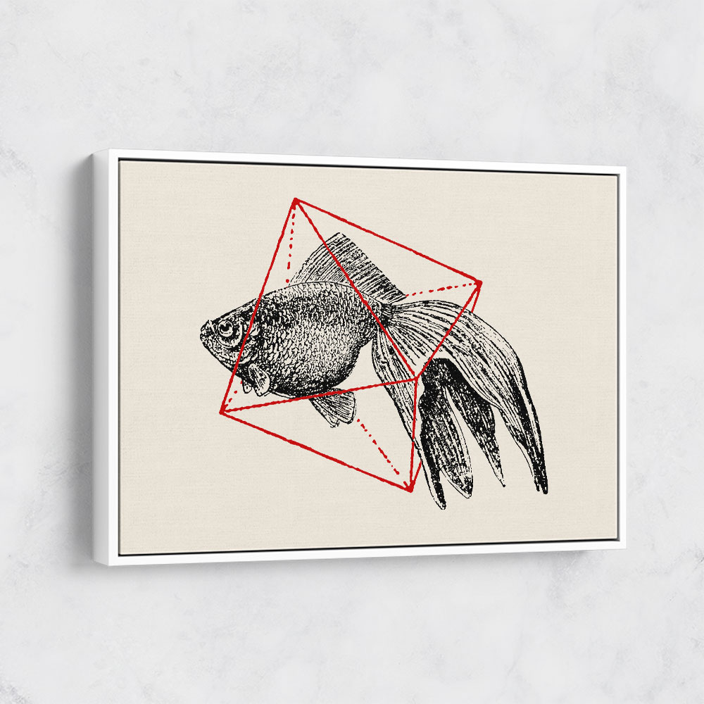 Fish In Geometrics NAo3