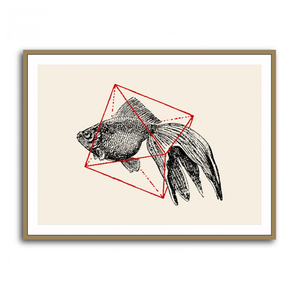 Fish In Geometrics NAo3 Fish In Geometrics NAo3