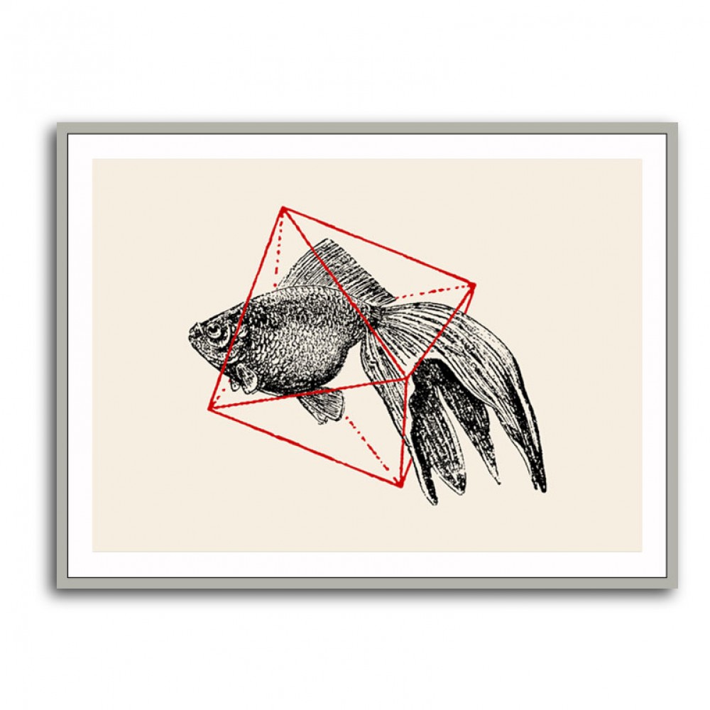 Fish In Geometrics NAo3 Fish In Geometrics NAo3