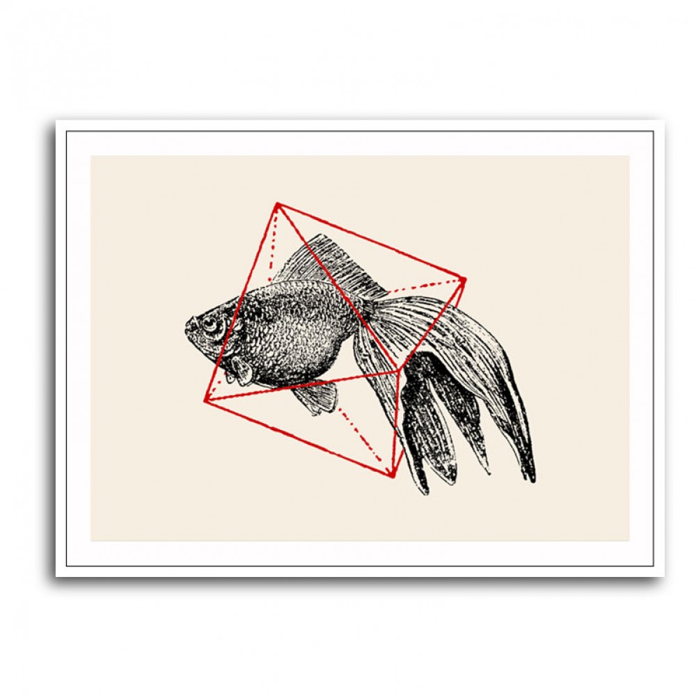 Fish In Geometrics NAo3 Fish In Geometrics NAo3