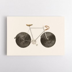 Licorice Bike