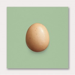 Just an Egg Main