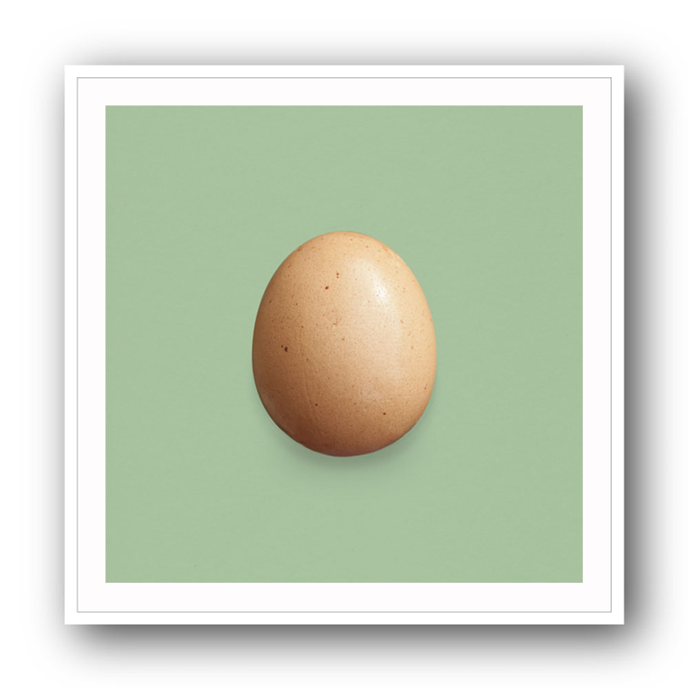 Just an Egg Main