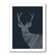 Stag Blue Stag Blue