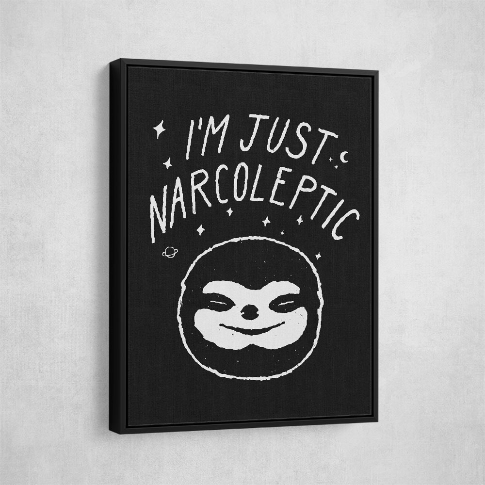 Narcoleptic NAo1
