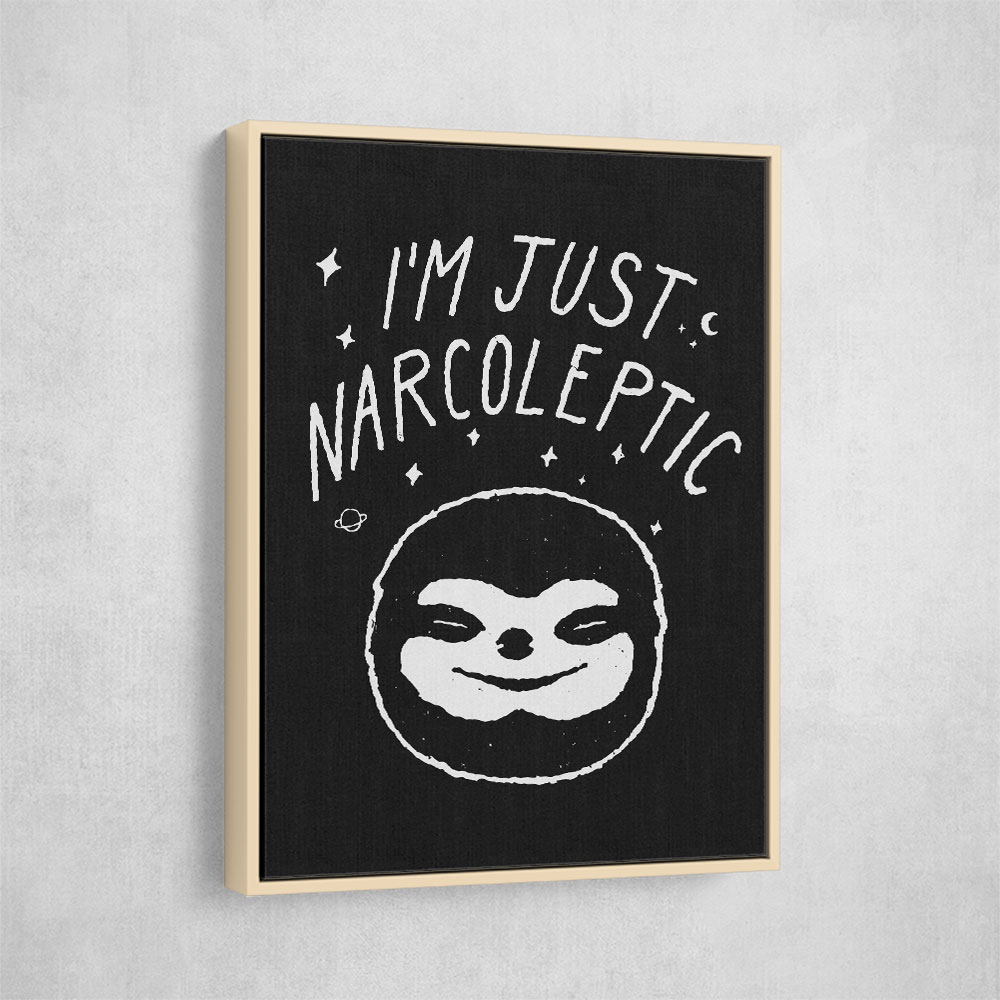 Narcoleptic NAo1