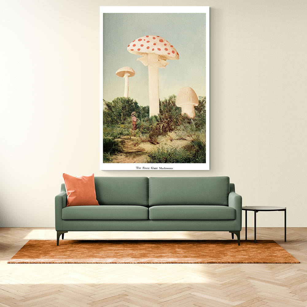 The Finest Giant Mushroom The Finest Giant Mushroom