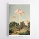 The Finest Giant Mushroom The Finest Giant Mushroom