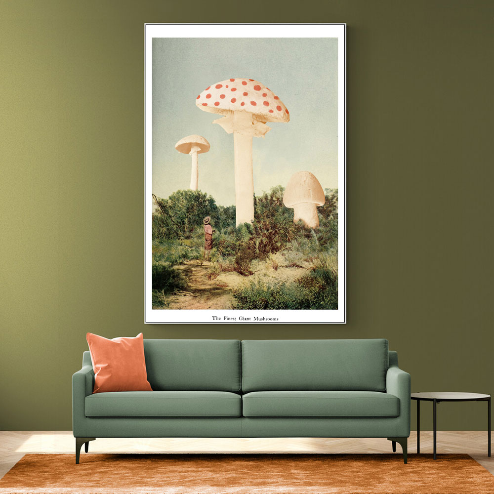 The Finest Giant Mushroom The Finest Giant Mushroom