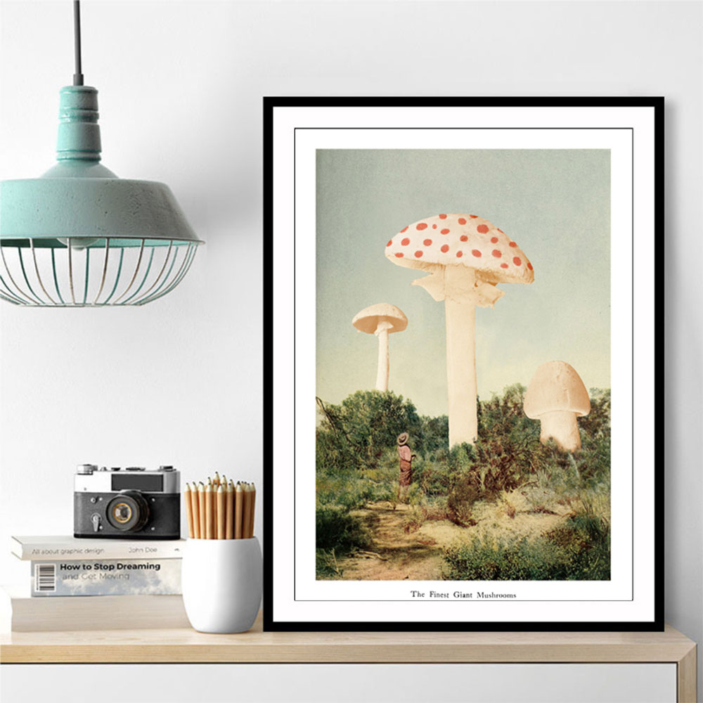 The Finest Giant Mushroom The Finest Giant Mushroom