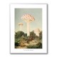 The Finest Giant Mushroom The Finest Giant Mushroom