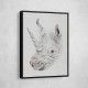 Rhinoplasty Rhinoplasty