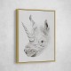 Rhinoplasty Rhinoplasty