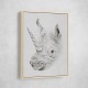 Rhinoplasty Rhinoplasty