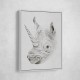 Rhinoplasty Rhinoplasty