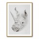 Rhinoplasty Rhinoplasty