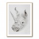Rhinoplasty Rhinoplasty